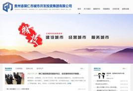 洪湖城市开发投资集团有限公司