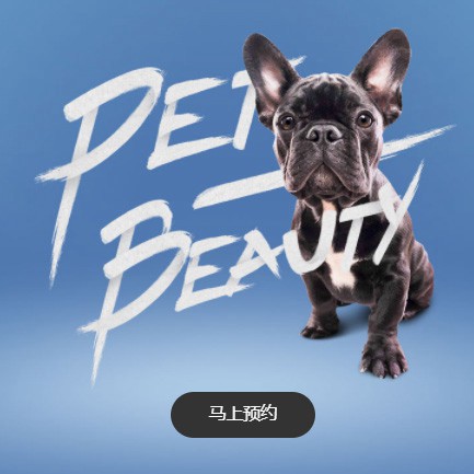 洪湖宠物中心小程序开发